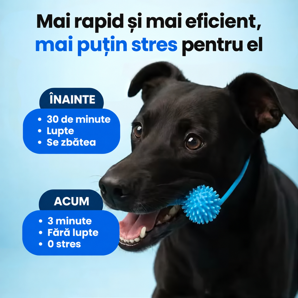 Suport Dentar pentru Curățarea Dinților