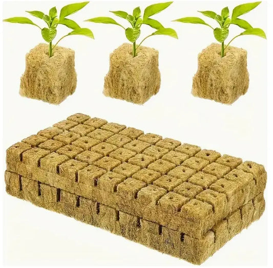 PlantCore – Cuburi pentru Creșterea Plantelor